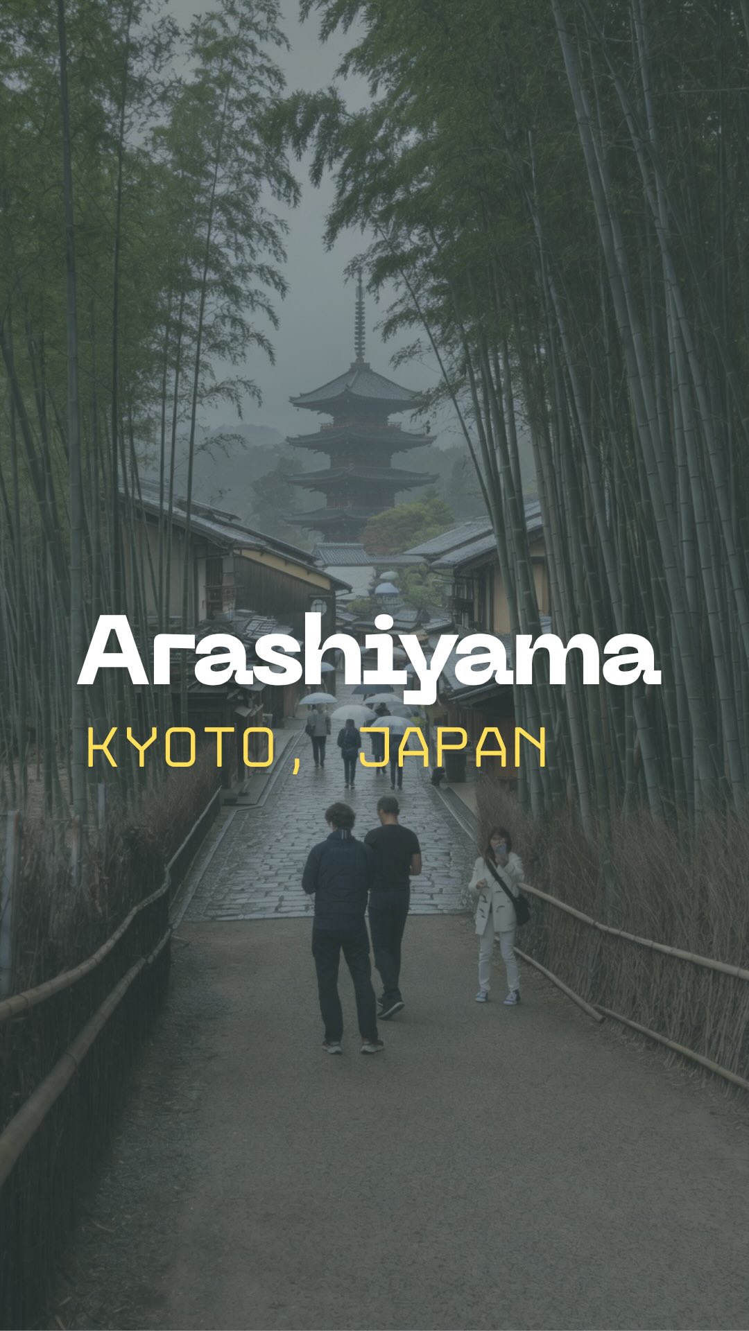 Kyoto's Arashiyama and Gion District Highlights