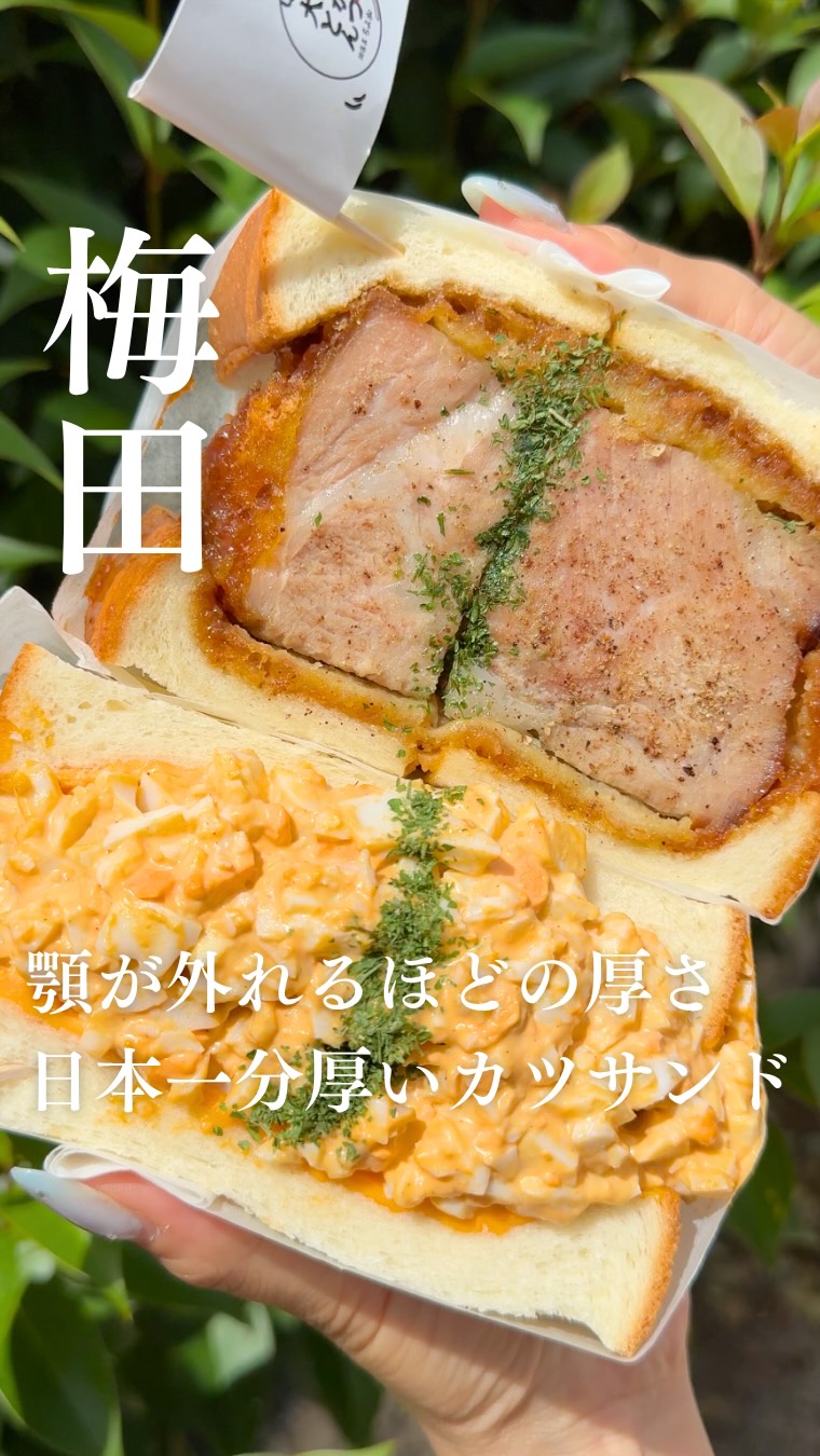 Osaka Tonkatsu Umeda's Thick Katsu and Egg Sandwiches