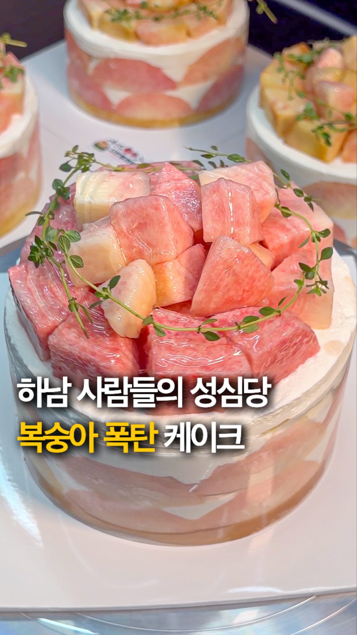 Abundant Fruit Cakes at SeasonFlavor in Hanam