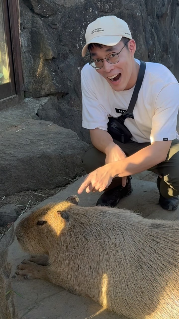 Izu Region's Nature, Wildlife, and Views