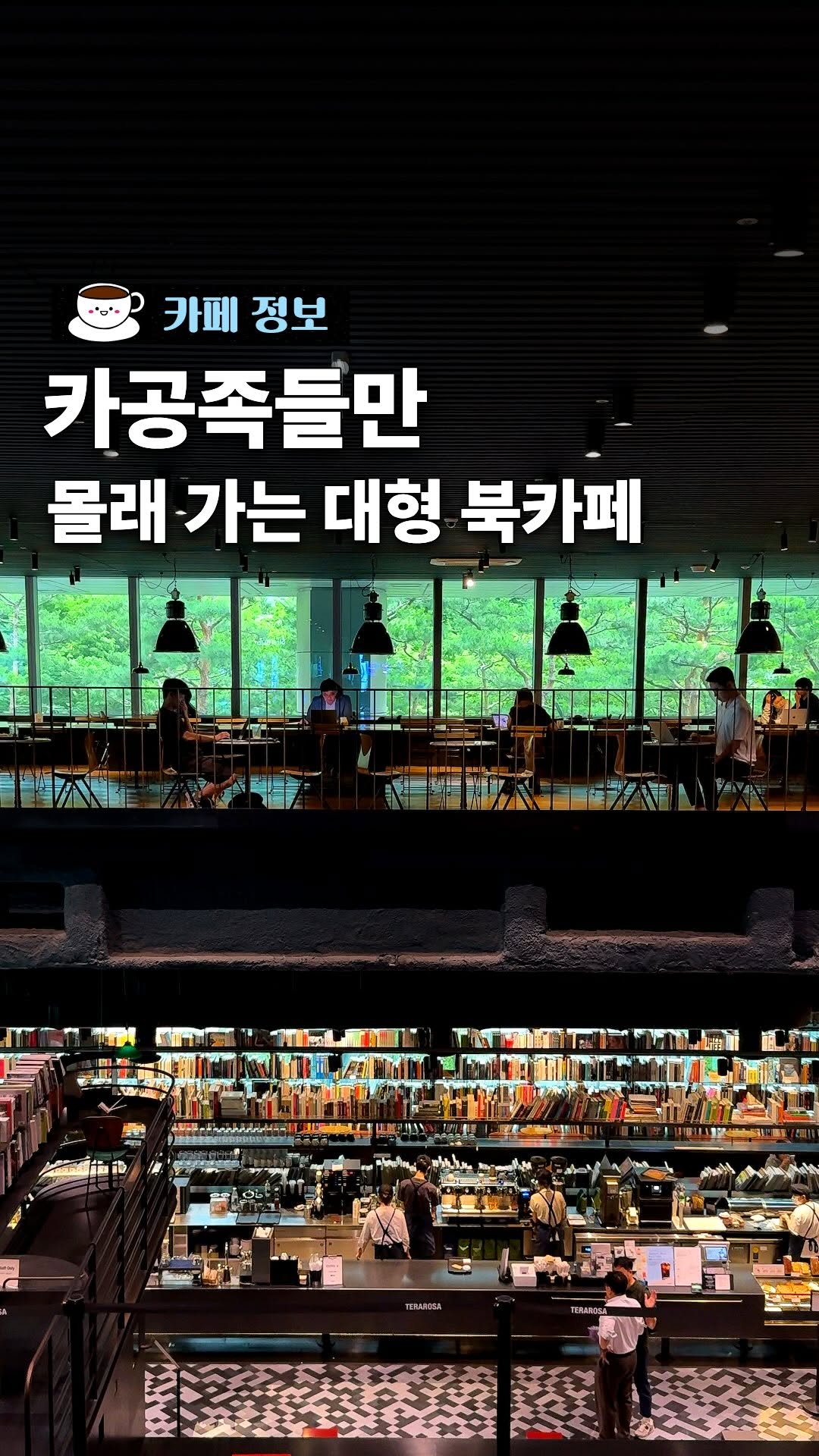 Terarosa Coffee: A Book Lover's Cafe