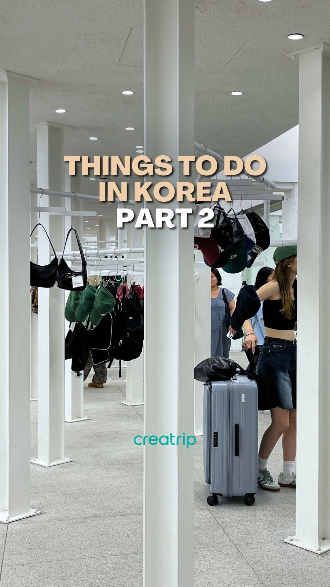Seoul Palaces, Shopping, and Han River Parks