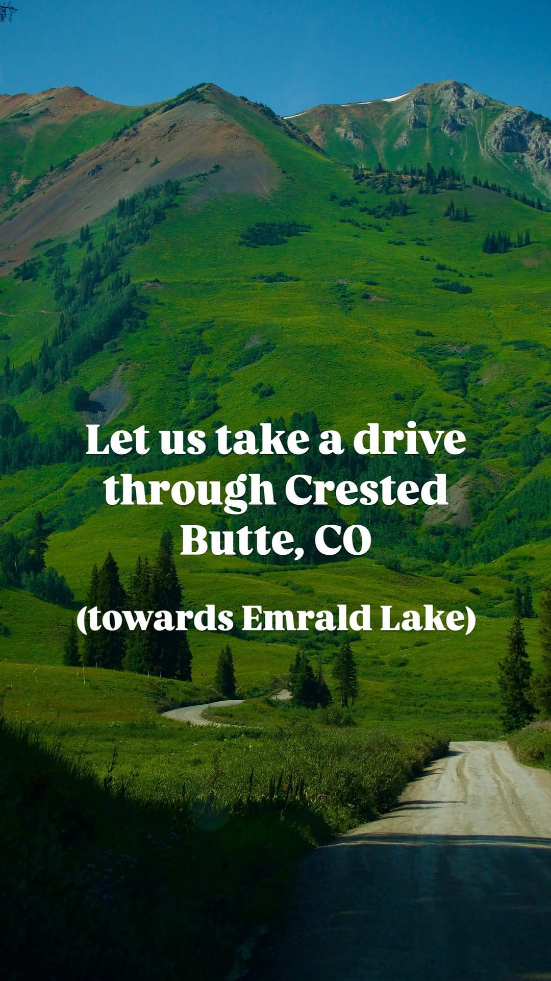 Colorado Wildflower Drives