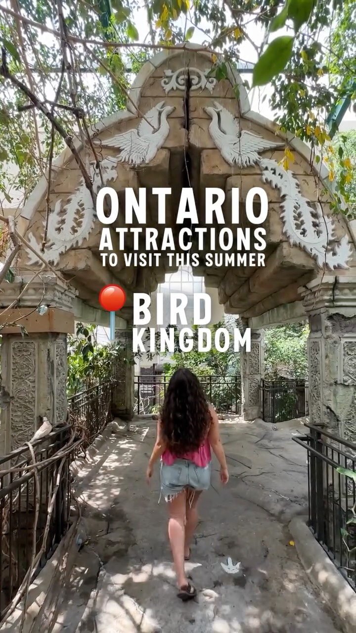 Bird Kingdom: A Tropical Rainforest Aviary