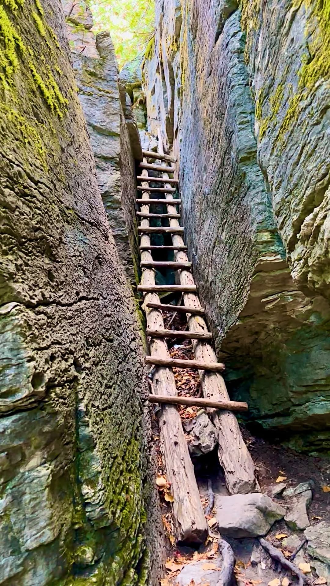 Island Hiking Adventure on Manitoulin Island