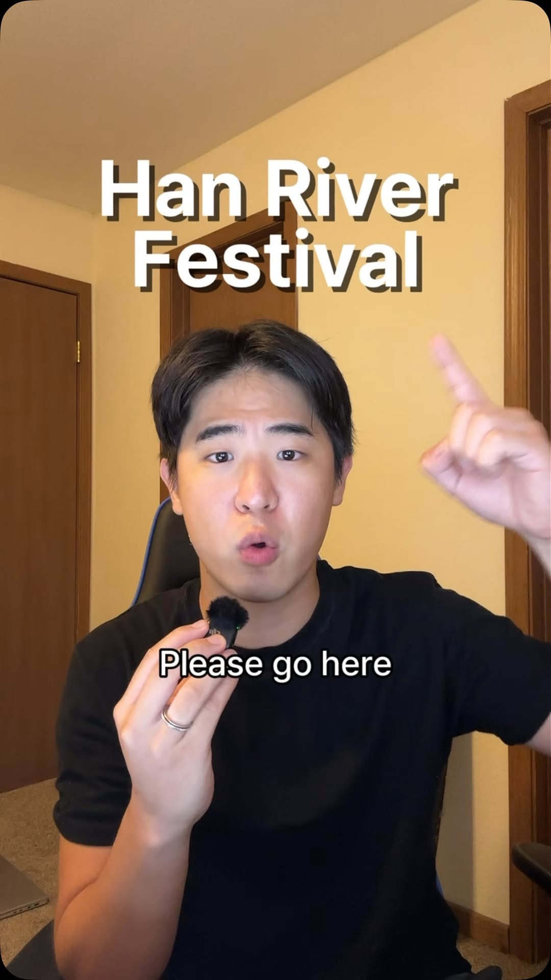 Seoul's Han River Festival Features Bridge and Park