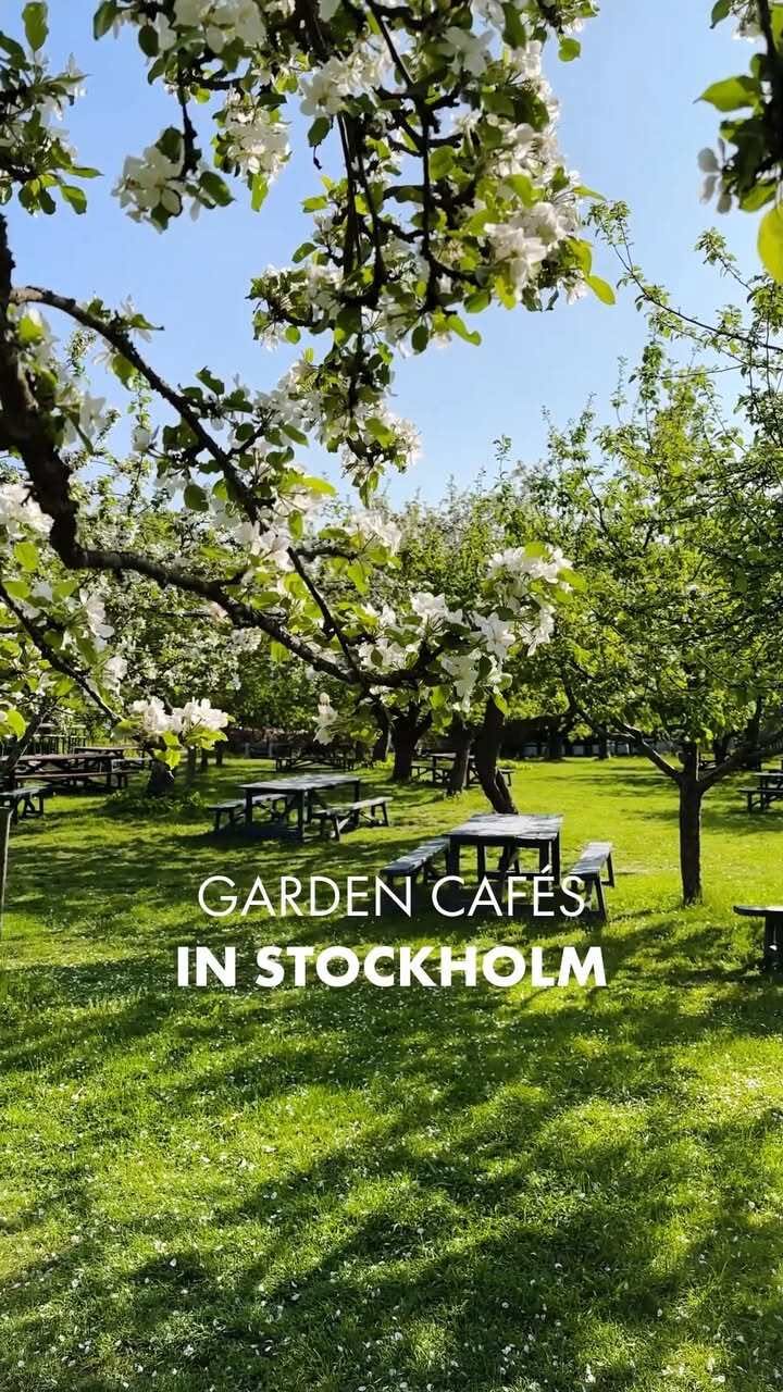 Stockholm's Green Oasis Garden Cafés