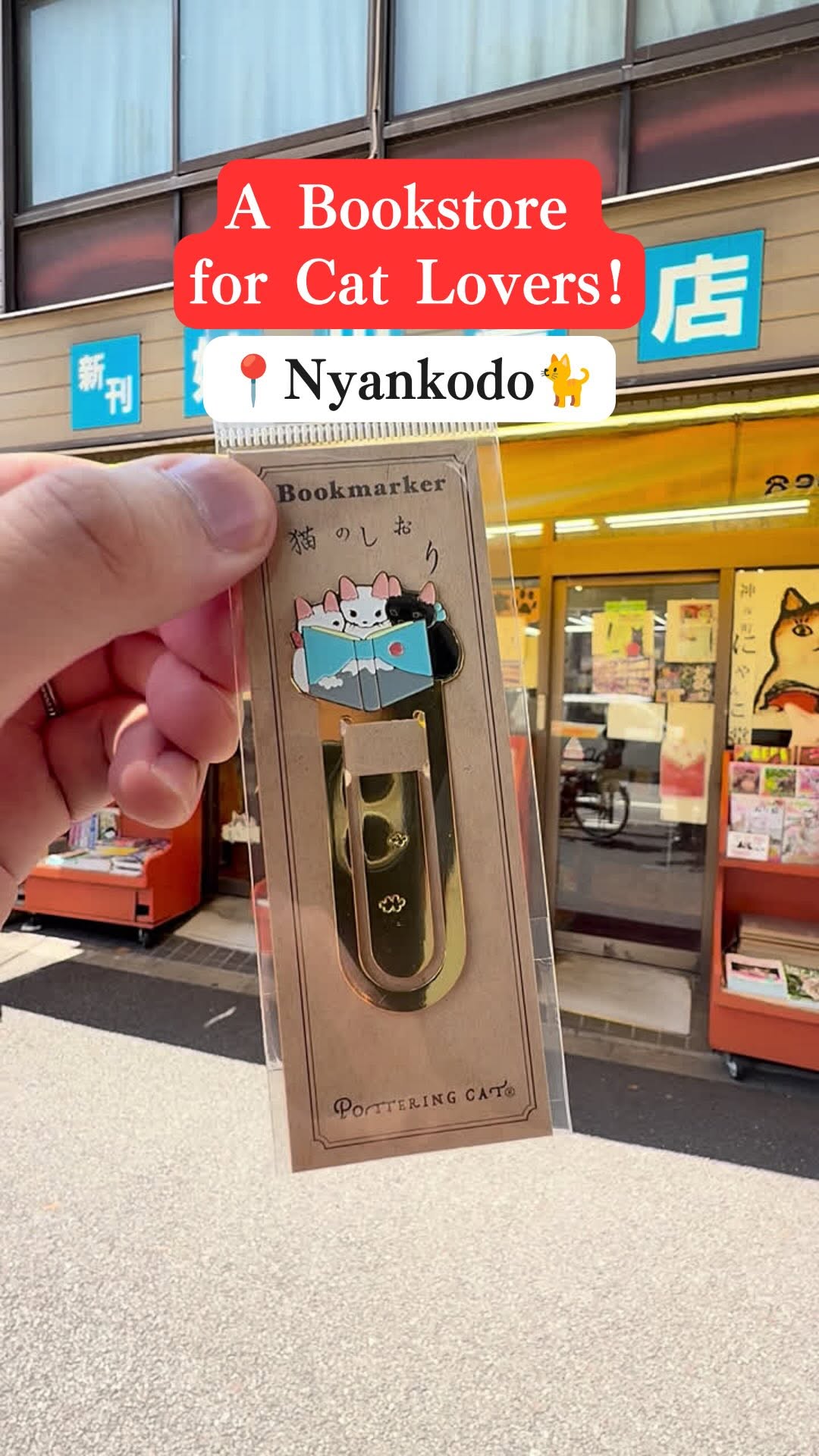 Cat-Themed Bookstore Nyankodo in Tokyo