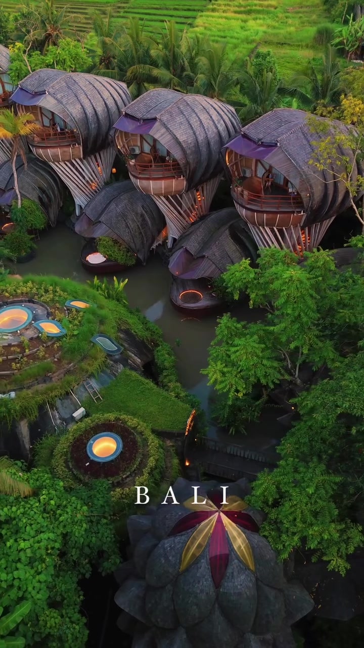 Eco Luxury Resort With Bamboo Treehouse Villas