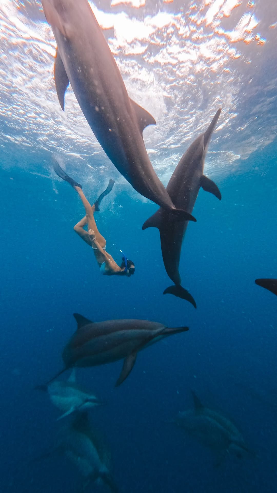 9 Attractions in Mauritius