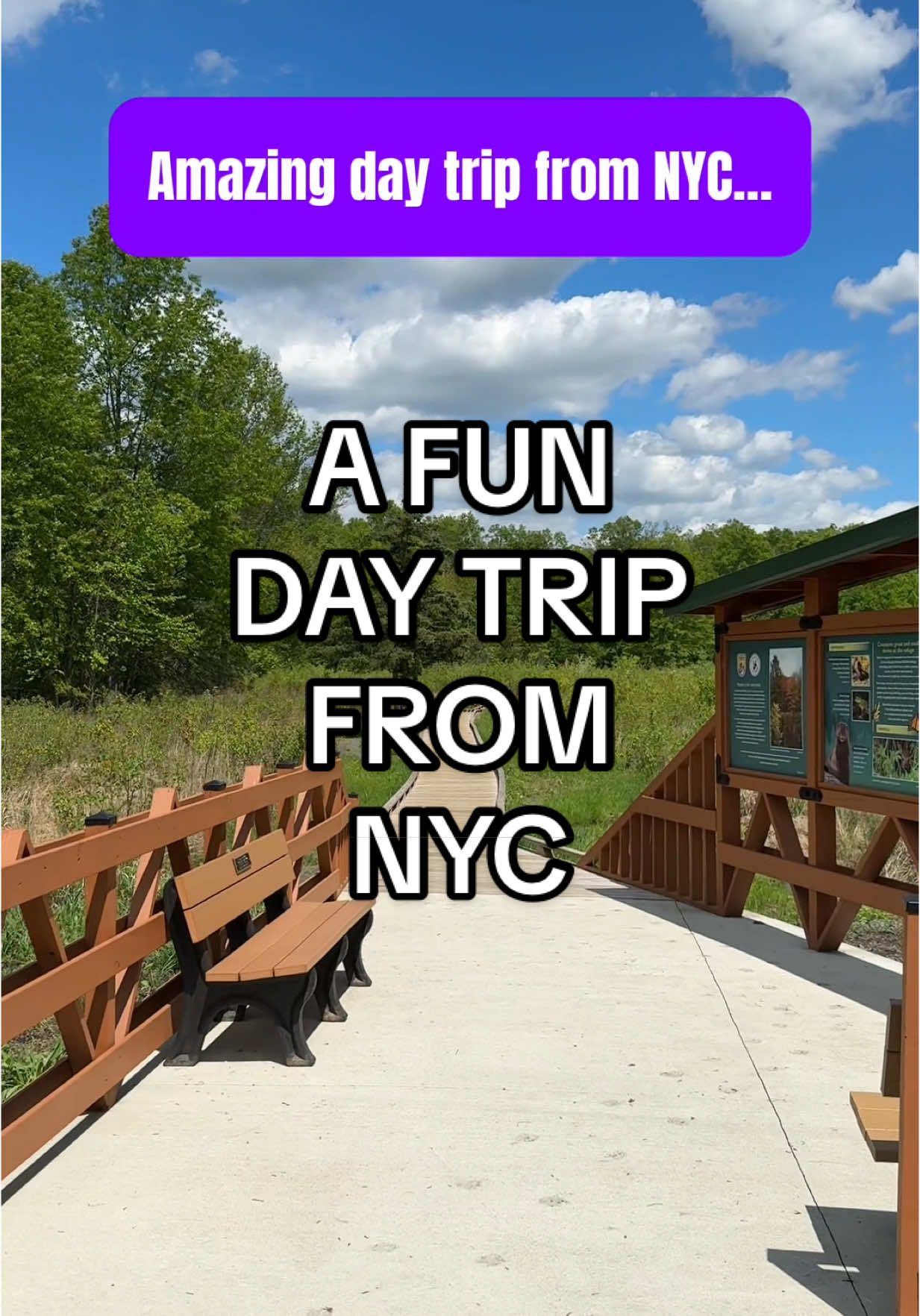 NYC Day Trip To Great Swamp National Wildlife Refuge