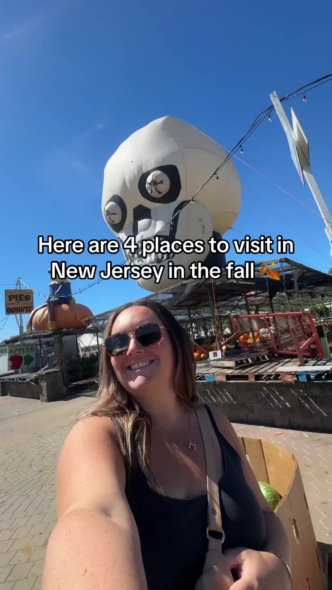 New Jersey Farms Offer Fall Activities