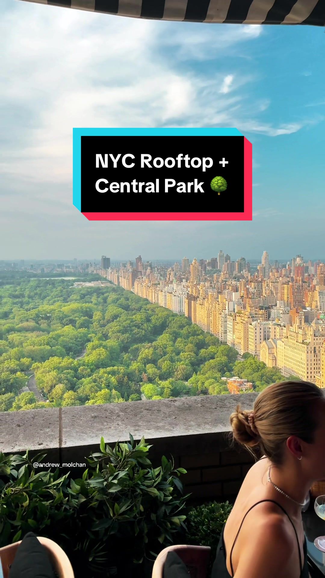 Manhattan Rooftop Bar Offers Central Park Views