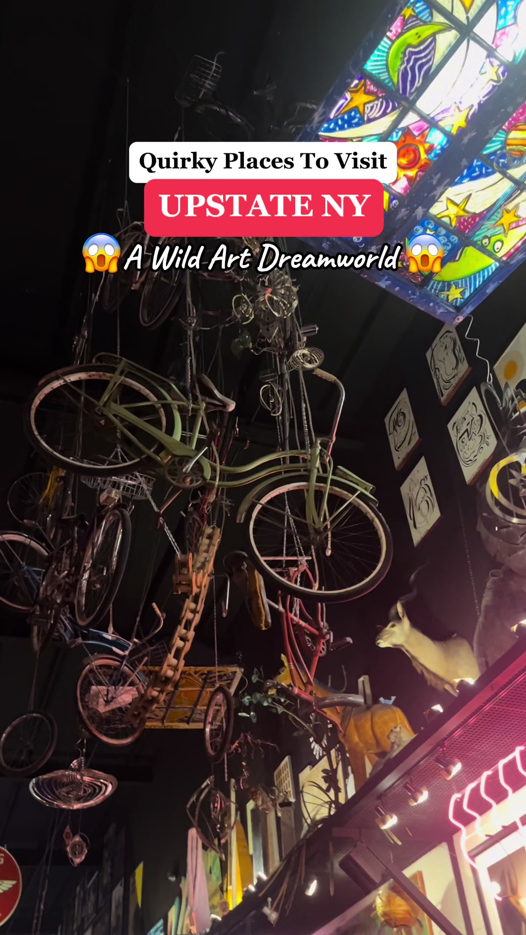 Rochester's Quirky Art, Hots, and Brews