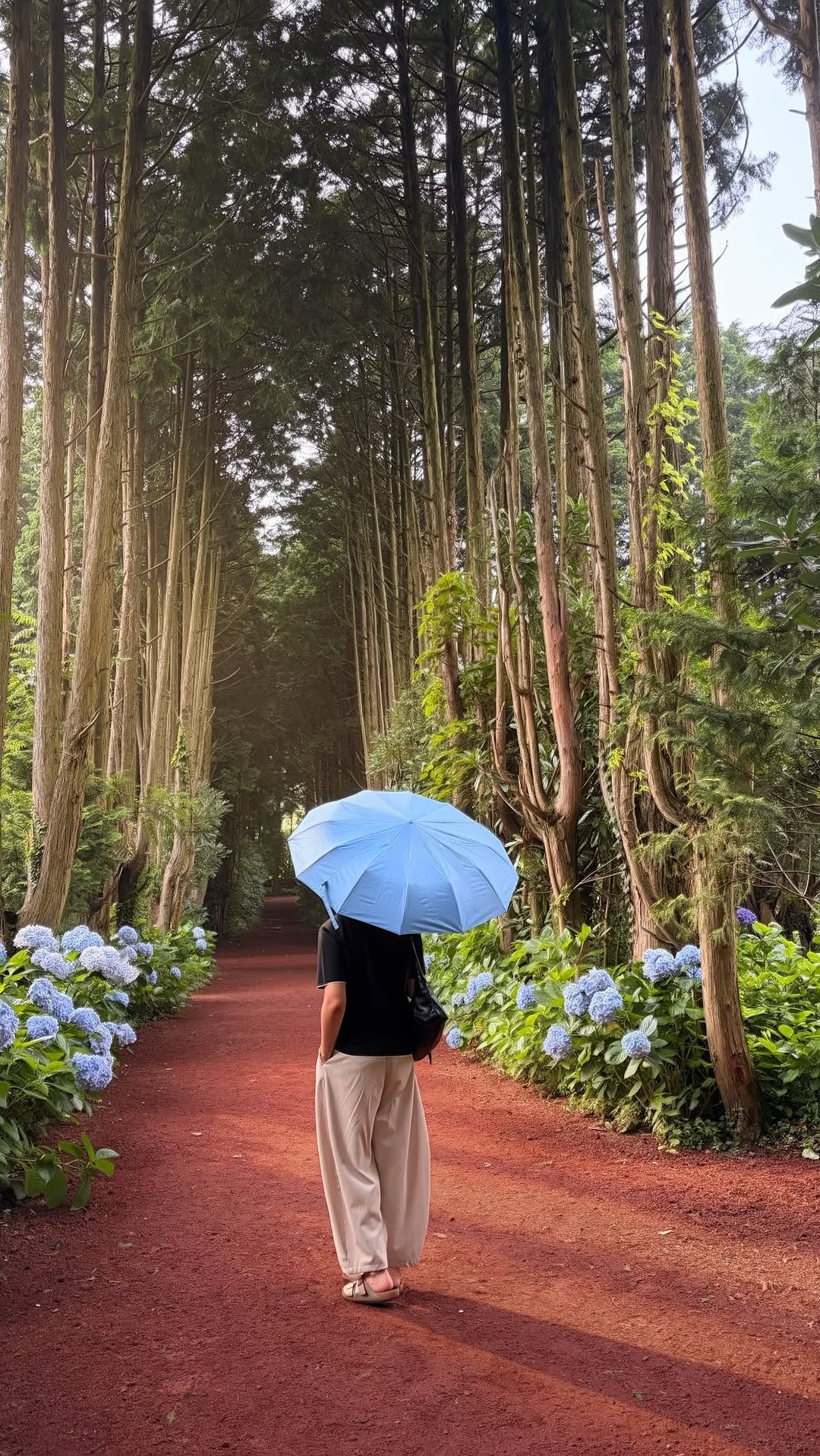 8 Attractions in Jeju-do
