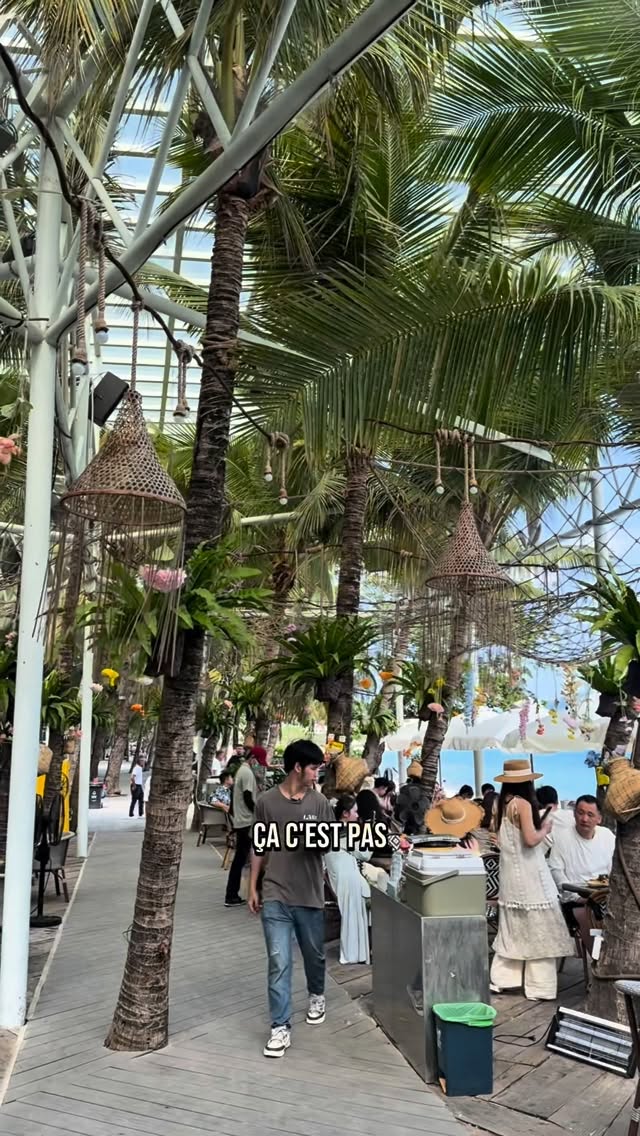 Tropical Paradise Found in Sanya, China