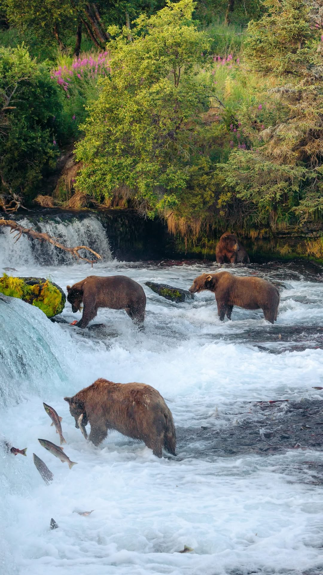 Alaska's National Parks and Natural Wonders