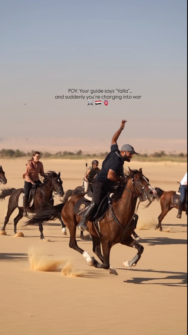 Horseback Riding Adventures in Egypt