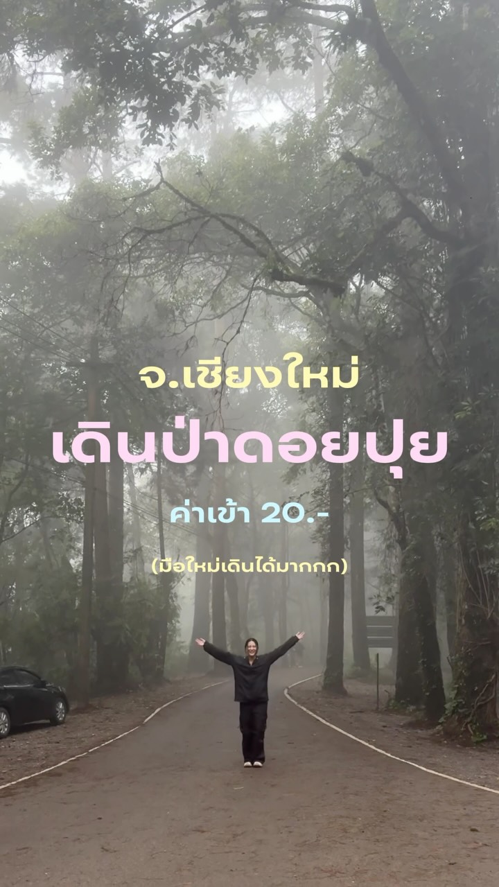 Easy Hiking Trails In Chiang Mai