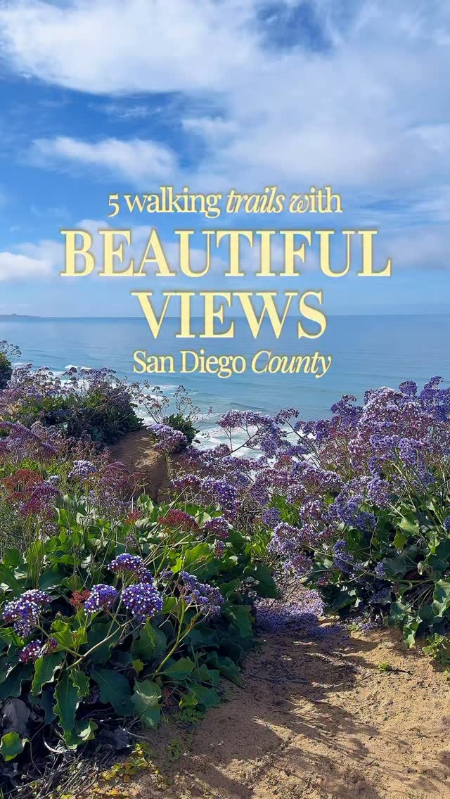Coastal Wonders Of Torrey Pines