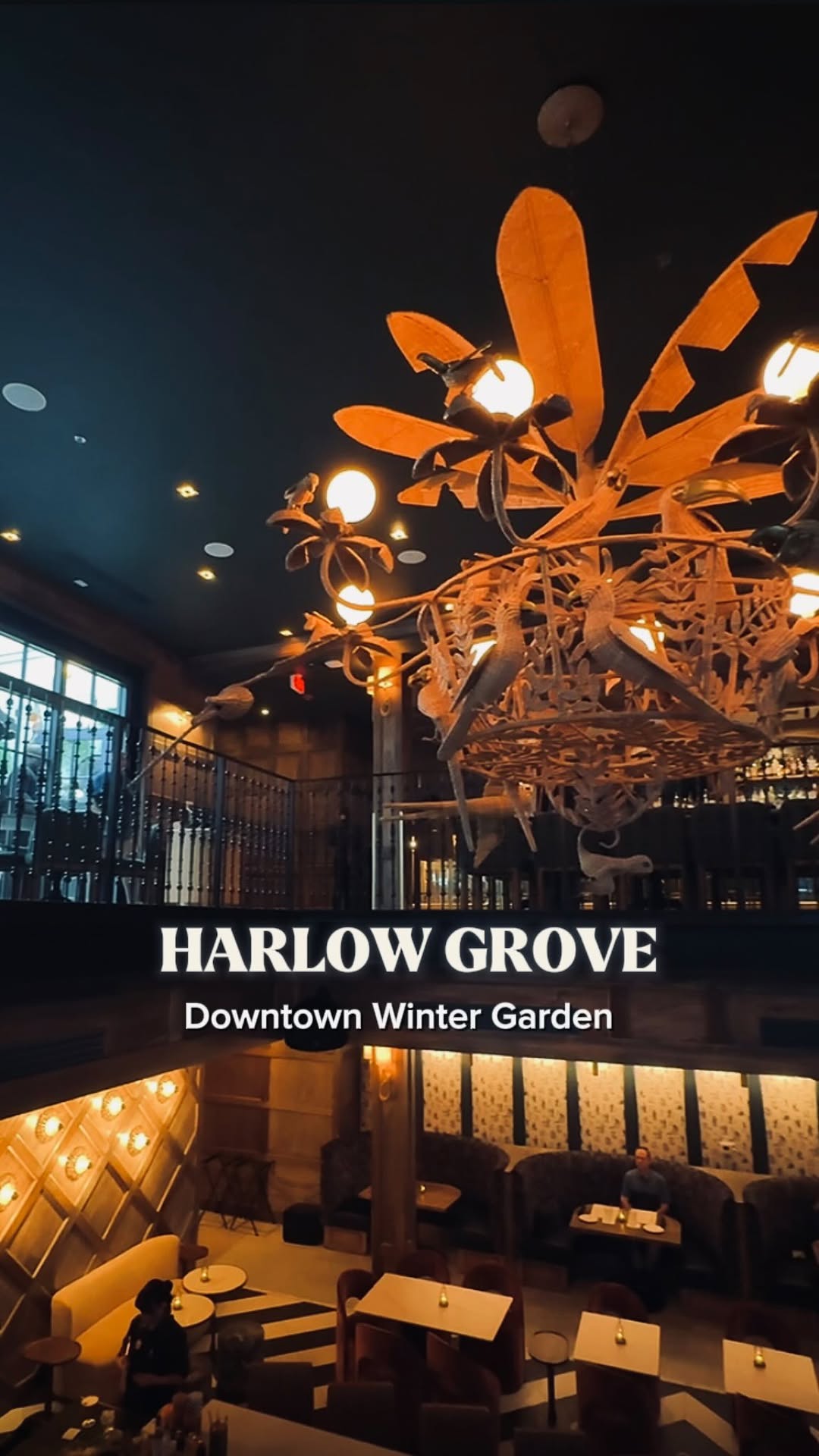 1 Restaurants in Winter Garden