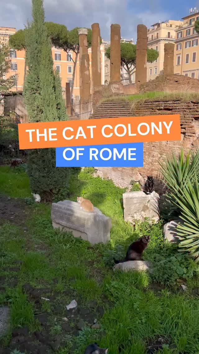 3 Places in Roma