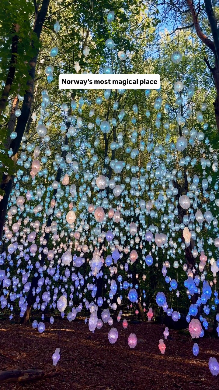 Ekebergparken's Magical Light Forest
