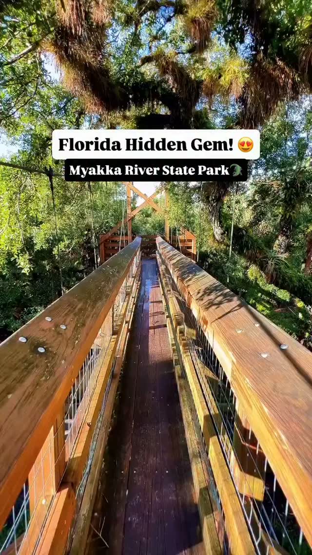 Myakka River State Park Features World Canopy Walkway