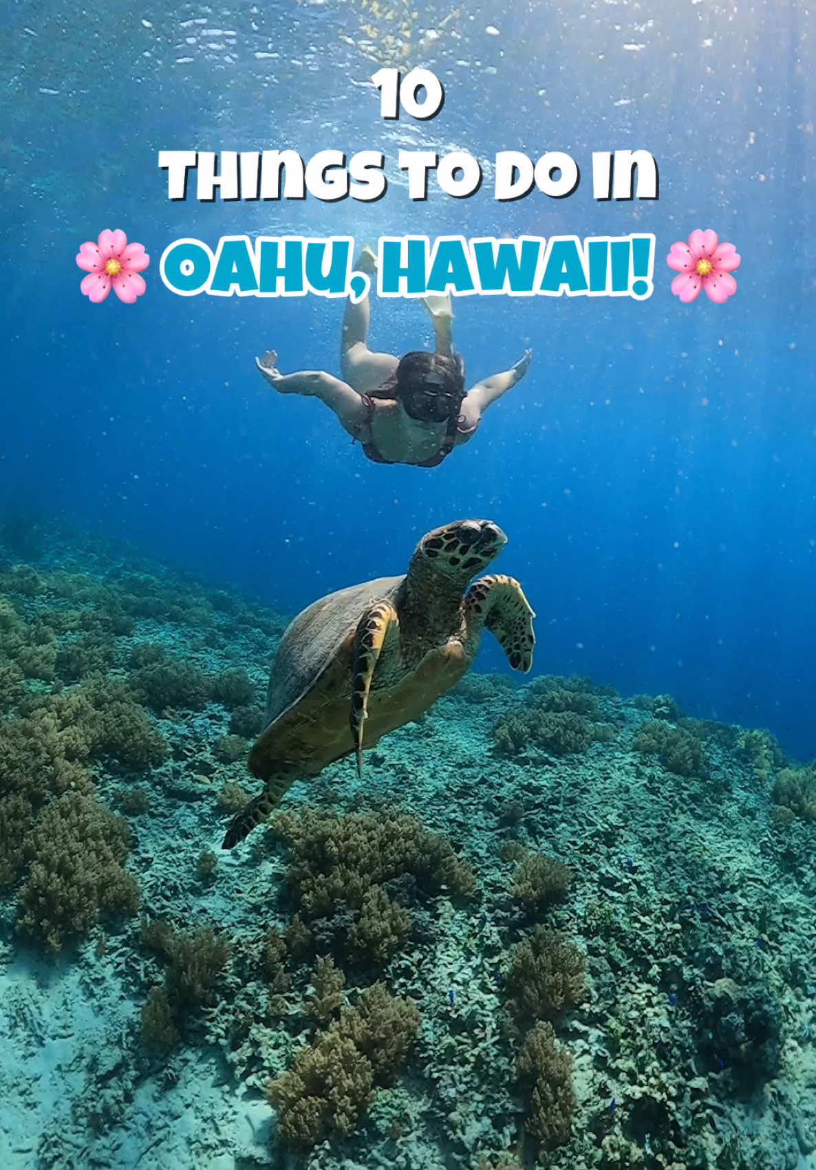 Oahu Attractions: Nature, Shopping, and Culture