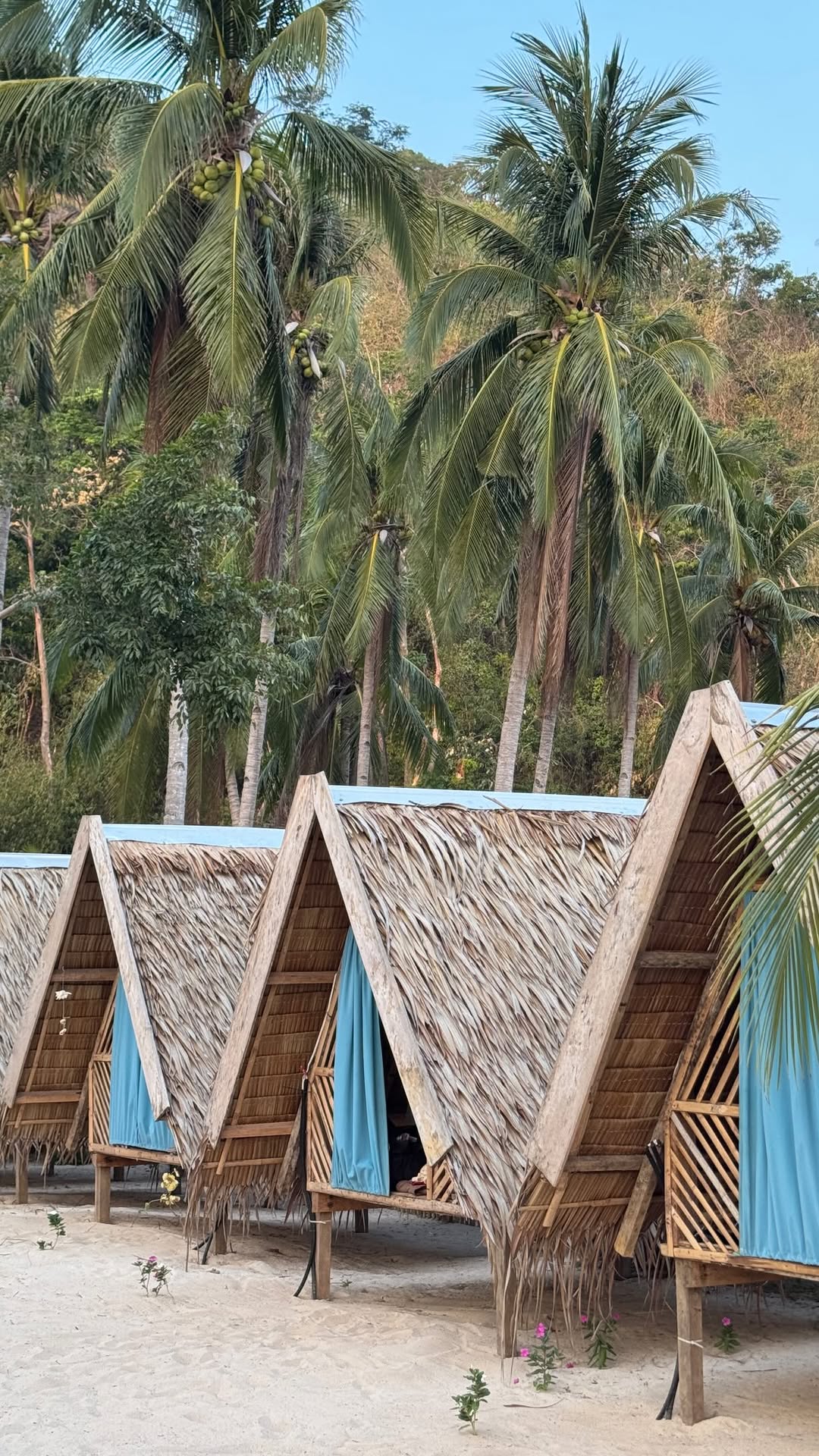 Island Vibes and Views in Palawan