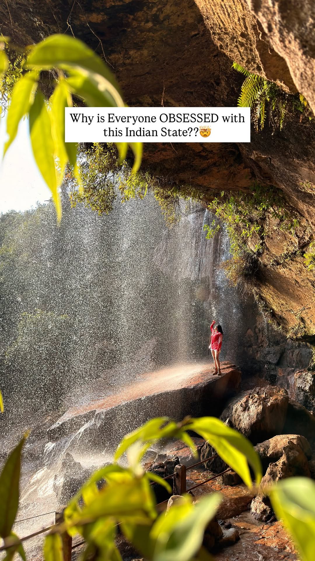 Meghalaya's Living Root Bridges and Matrilineal Society