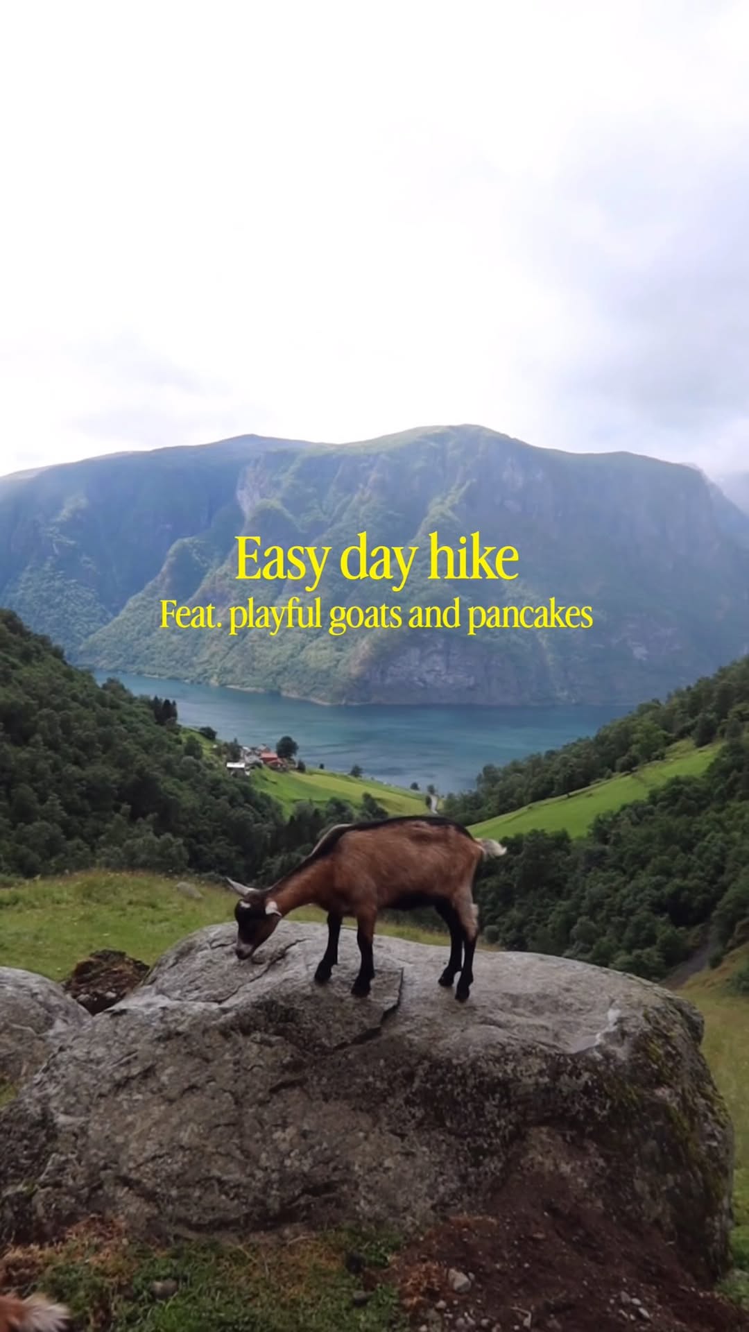 Scenic Hike With Baby Goats And Pancakes