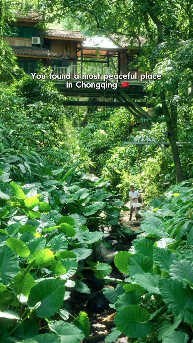 Jingangbei Offers Peaceful Chongqing Meditation Retreat
