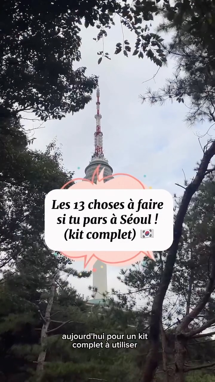 Seoul Travel Guide: Palaces, Towers, Markets, and Shops