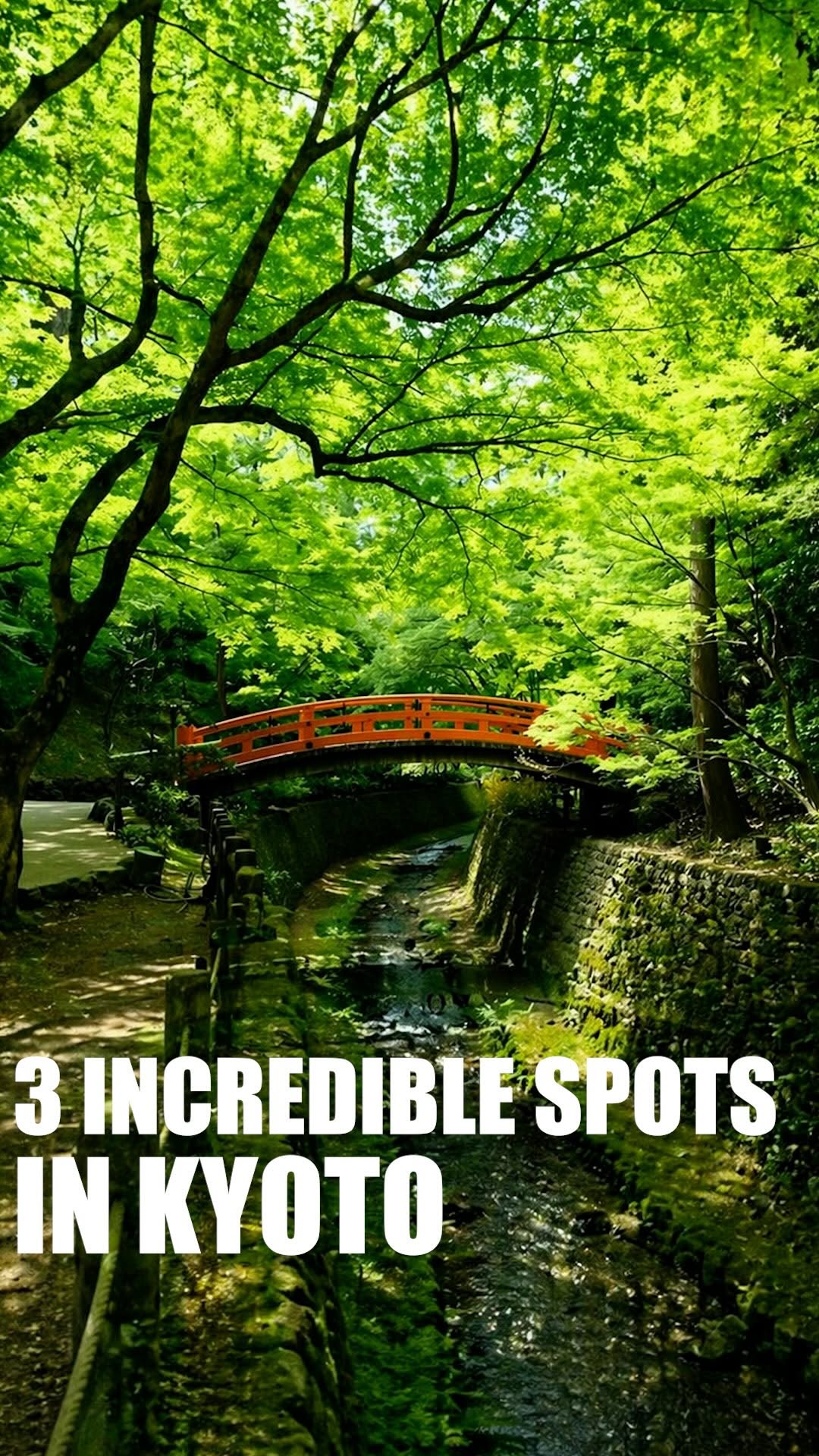 Kyoto's Hidden Temples and Shrines