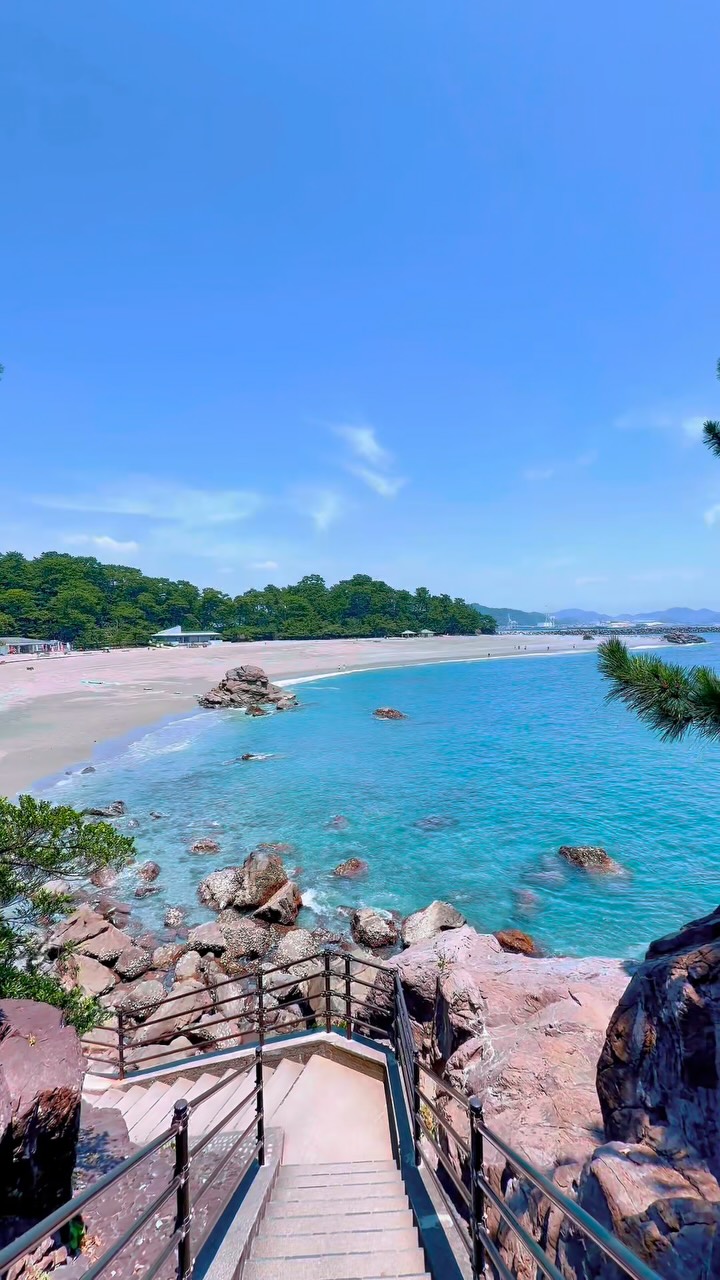 Katsurahama Park's Coastal Charm