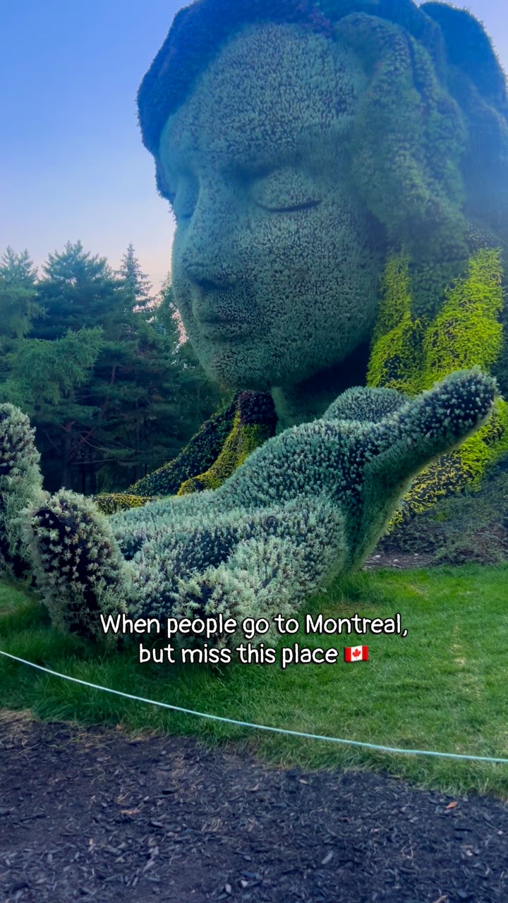 7 Places in Montréal