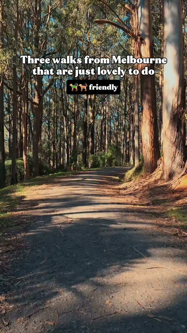 5 Places in Victoria