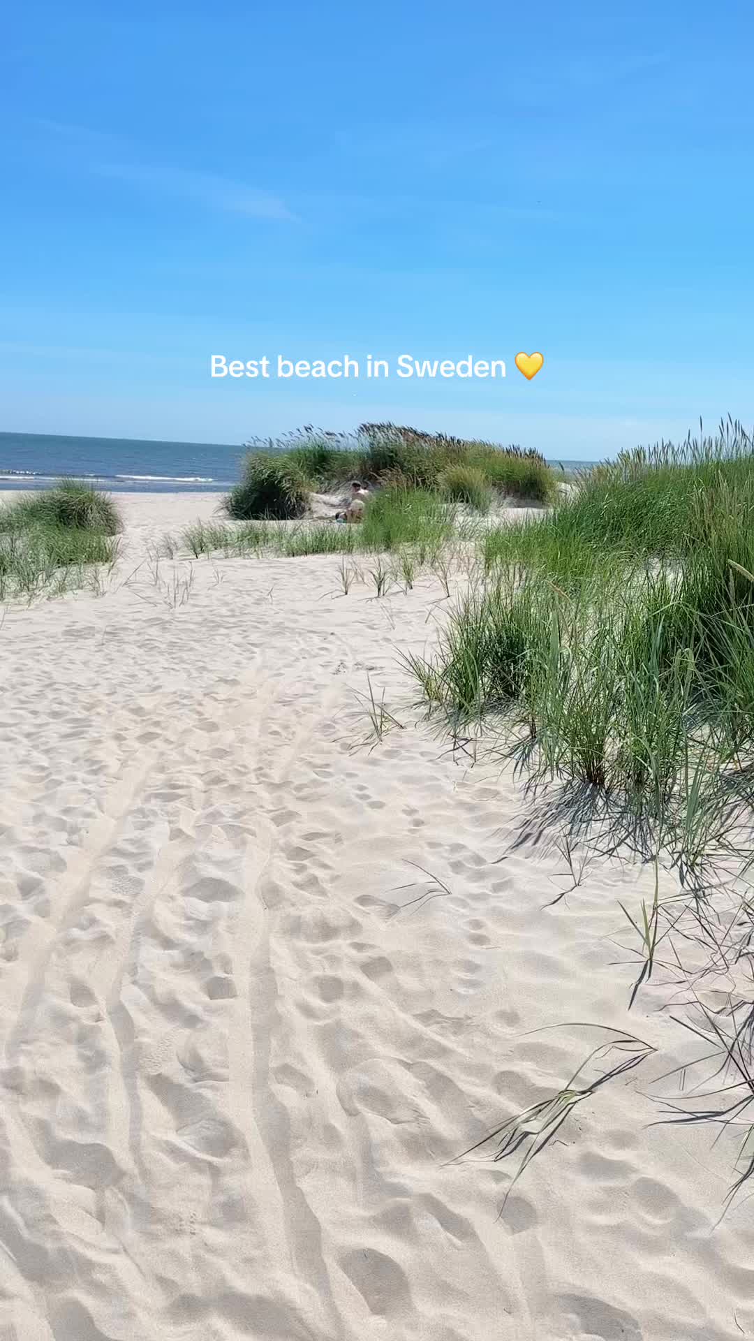 Sweden's Incredible White Sand Beach