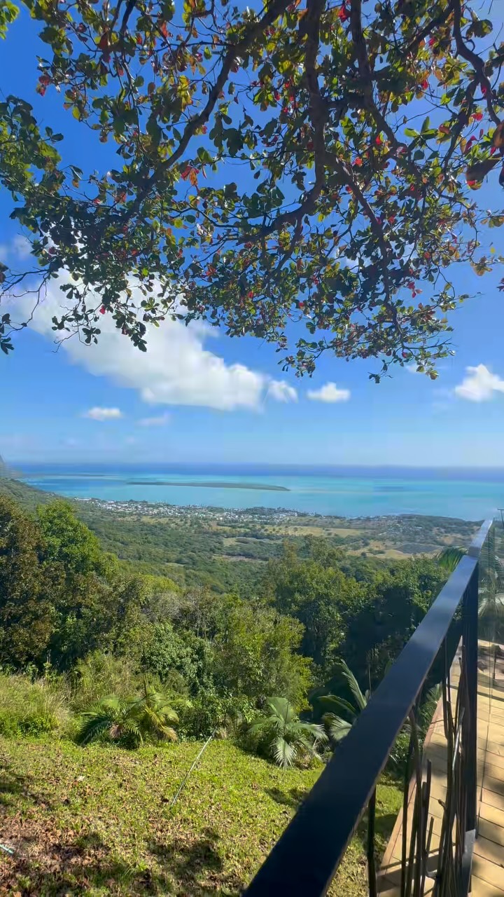 Le Chamarel Restaurant's Culinary Delights