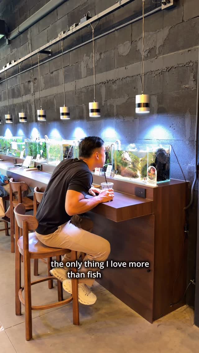 Capybara Cafe In Bangkok