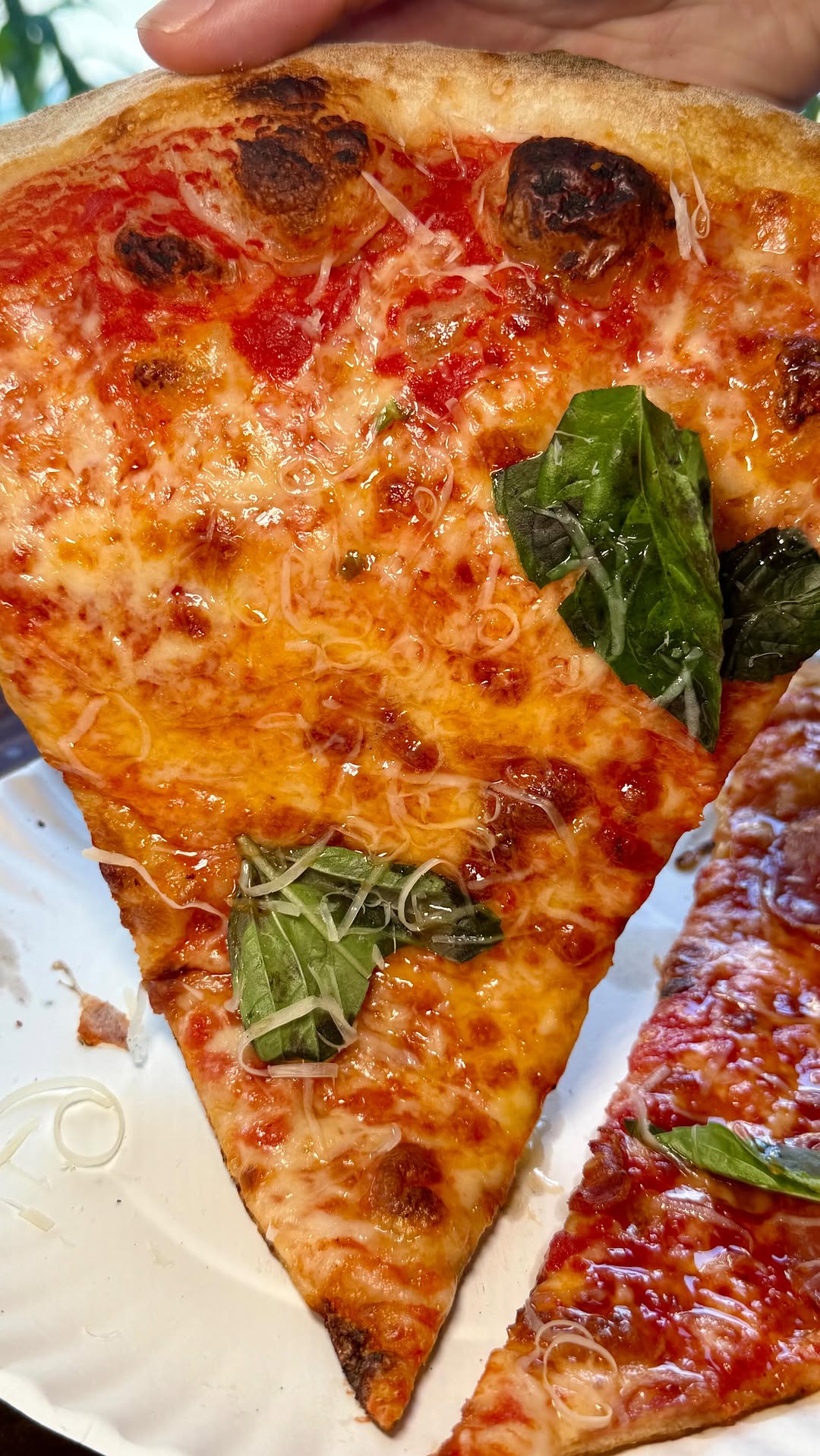 5 Restaurants in New York