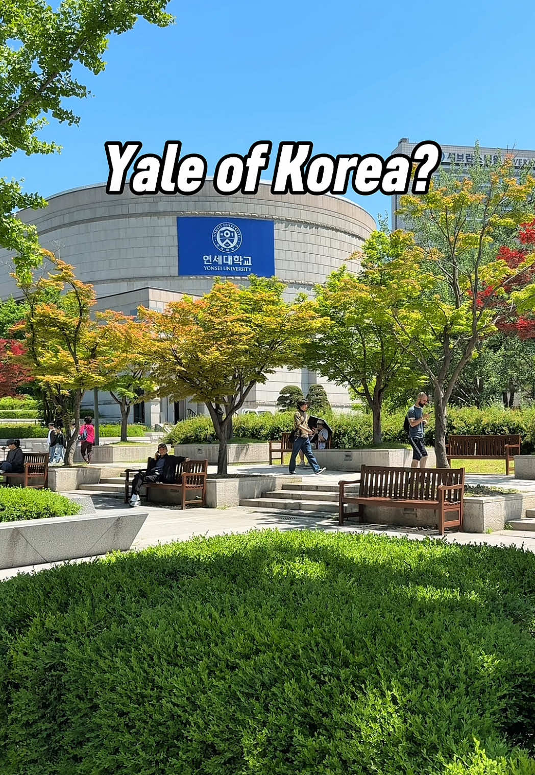 Yonsei University Campus Tour and Local Delights