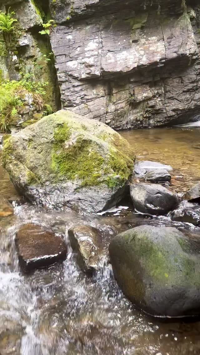 Forest Park and Waterfall Hikes