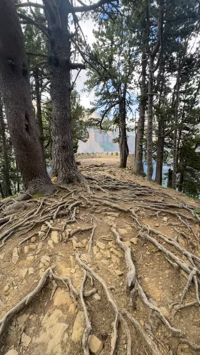 Strait Viewpoint