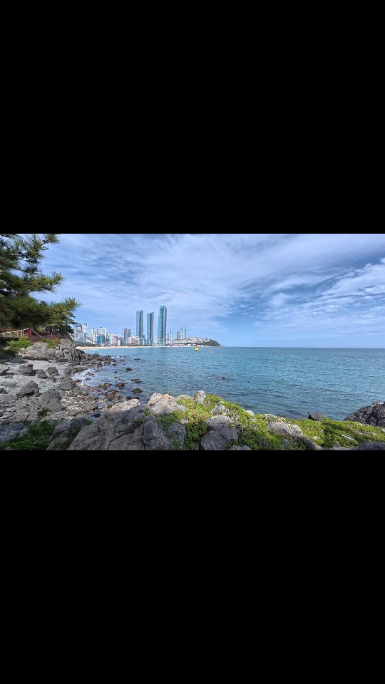 Dongbaek Park's Coastal Charm