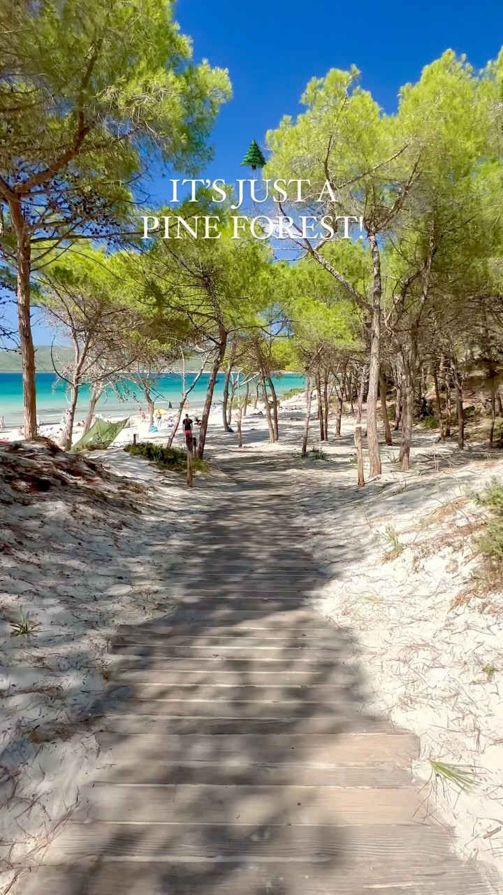 Maria Pia: A Slice Of Paradise By The Sea
