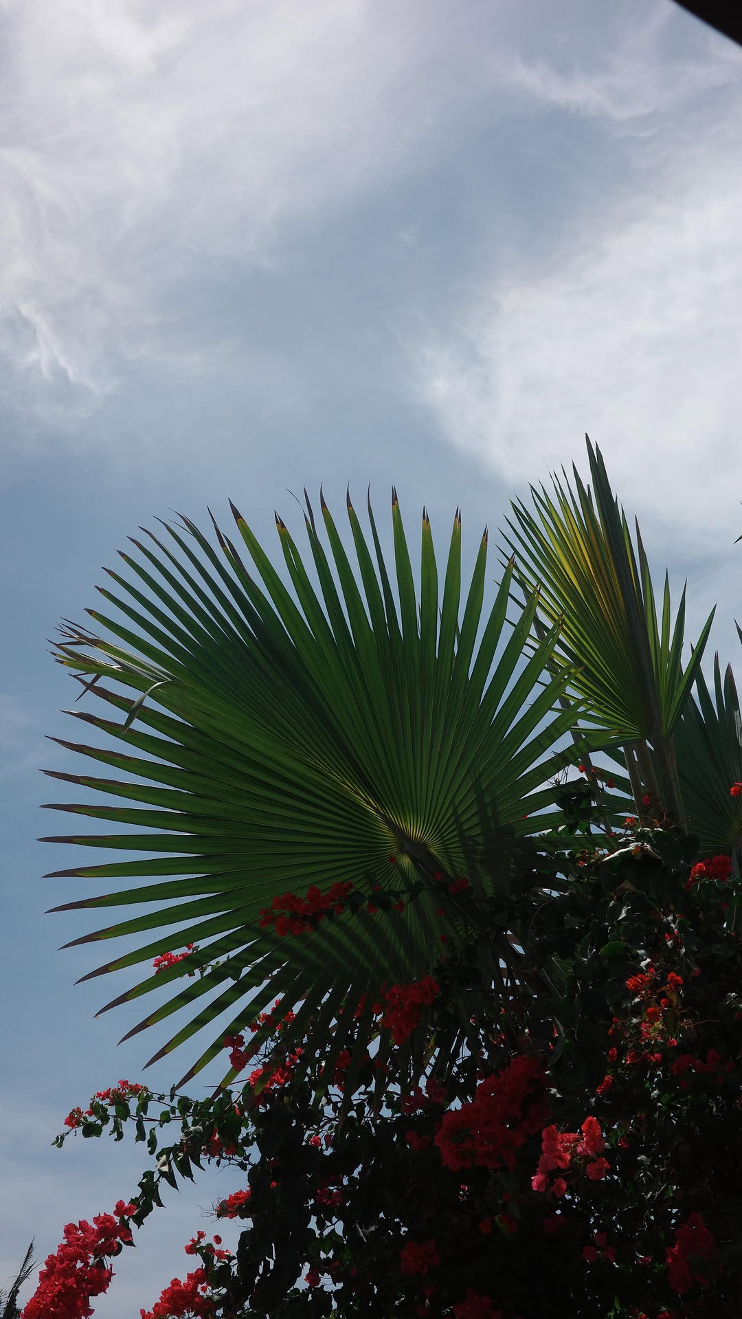 10 Places in Taormina