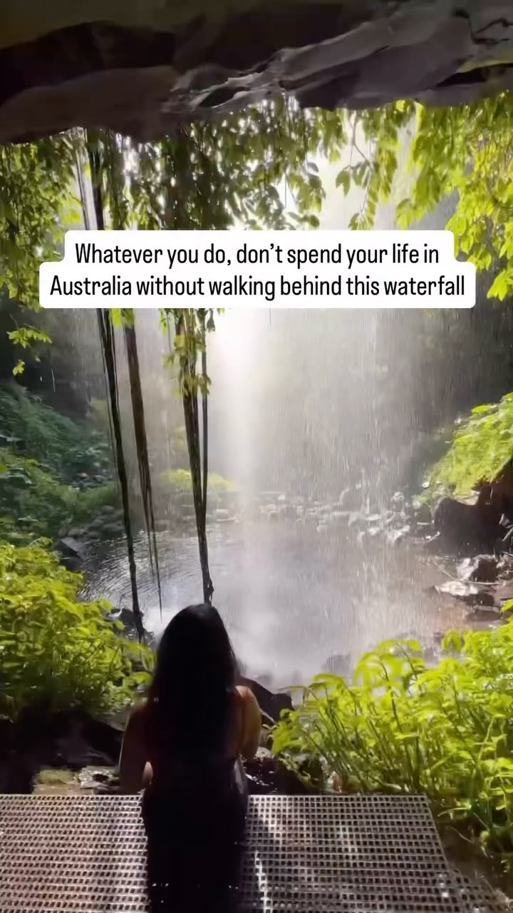 Walk Behind A Waterfall In Dorrigo National Park
