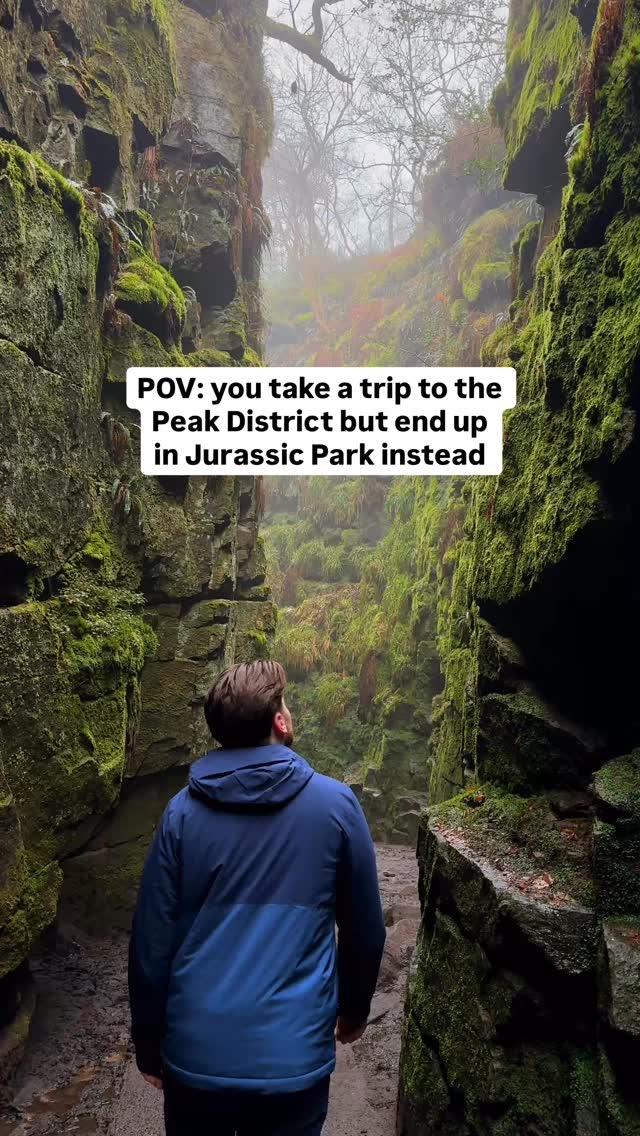 Mysterious Moss-Covered Gorge and Woodland Walk